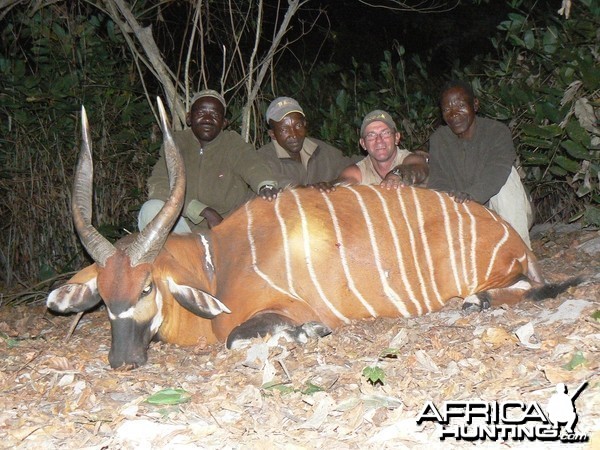 My Icon of Africa / Bongo in Central Africa