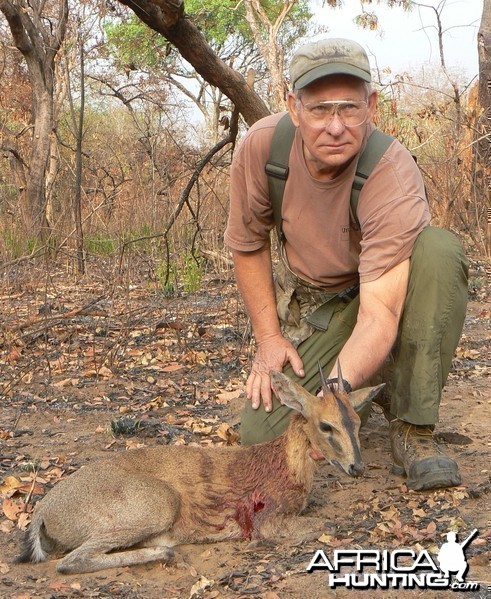 Western bush duiker from CAR