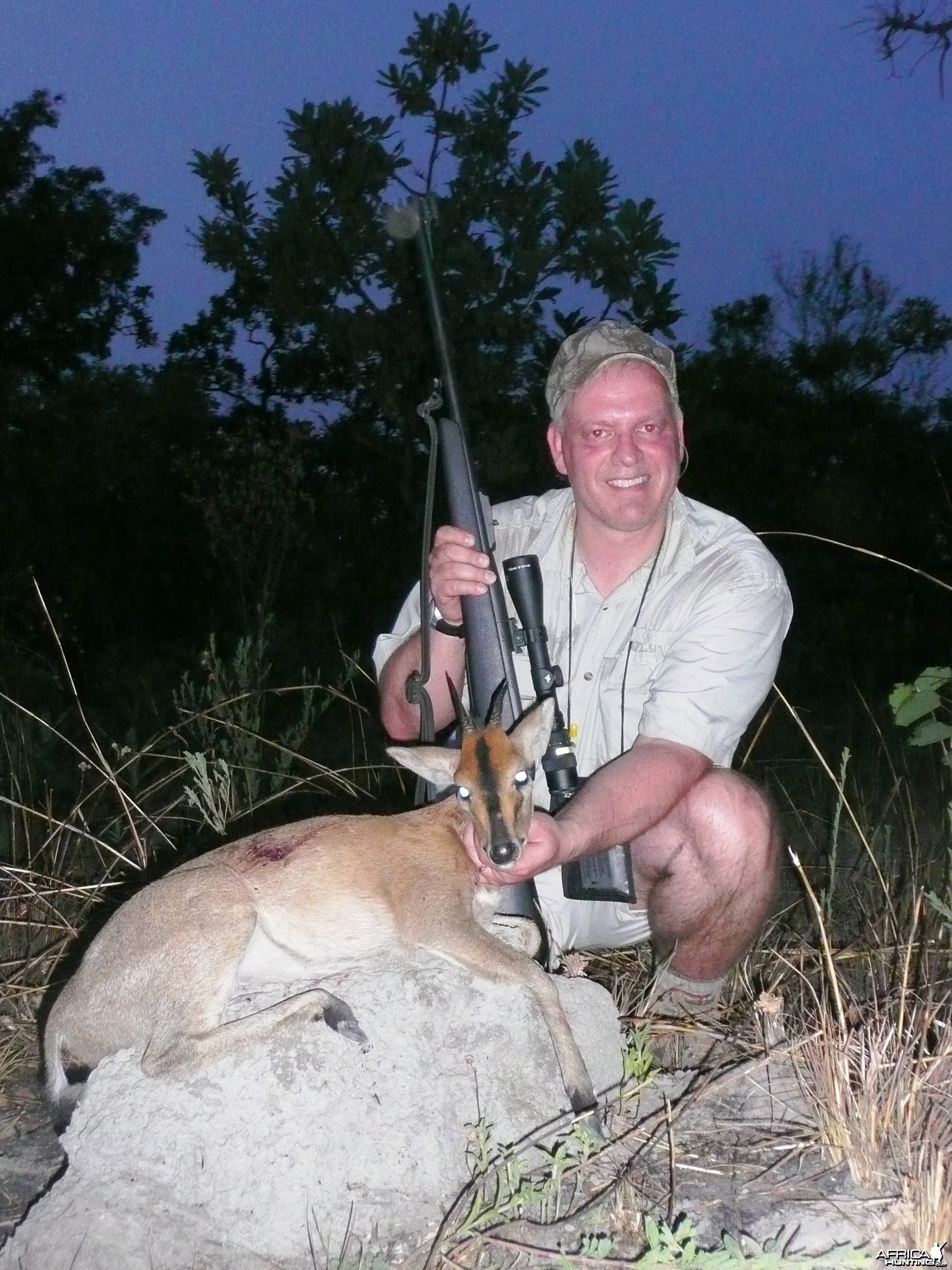 Western bush duiker from CAR