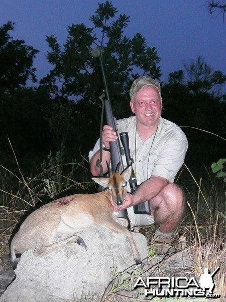 Western bush duiker from CAR