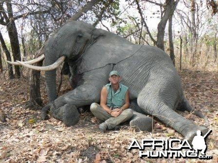 Elephant from Tanzania. 1,87 m 20kg