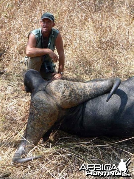 Buffalo from Tanzania - 45 inches