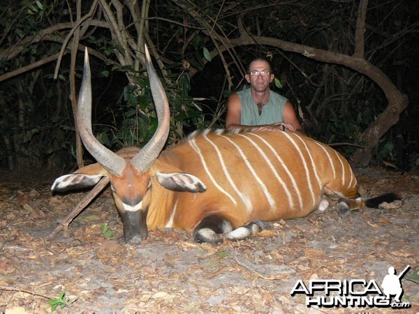 Central Africa. Bongo 28'