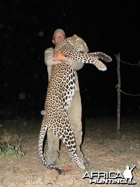 Leopard, 64kg from Selous game reserve. Tanzania