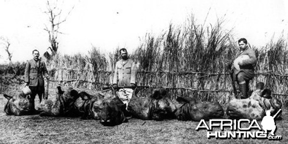 Butchered Rhinos in Nepal