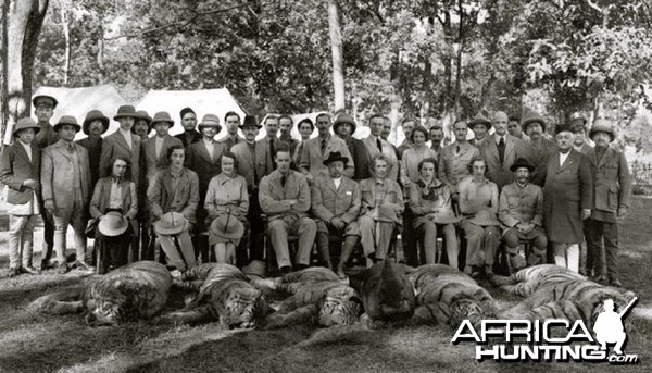 Hunting party in India with five Tigers and one Rhinoceros