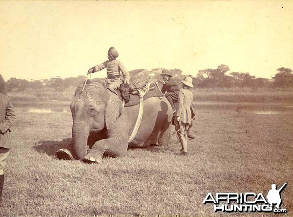 His Imperial Majesty's Shoot, Nepal 1911