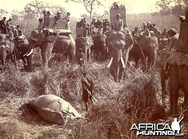 His Imperial Majesty's Shoot, Nepal 1911