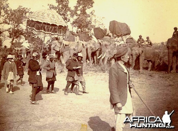 His Imperial Majesty's Shoot, Nepal 1911