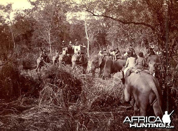 His Imperial Majesty's Shoot, Nepal 1911