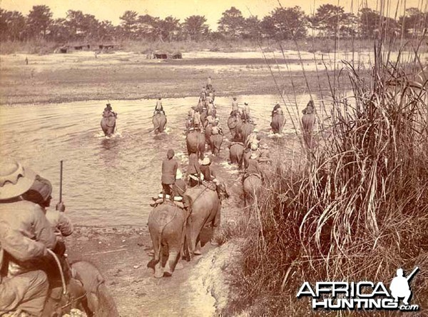 His Imperial Majesty's Shoot, Nepal 1911