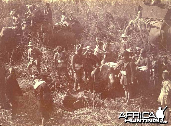 His Imperial Majesty's Shoot, Nepal 1911