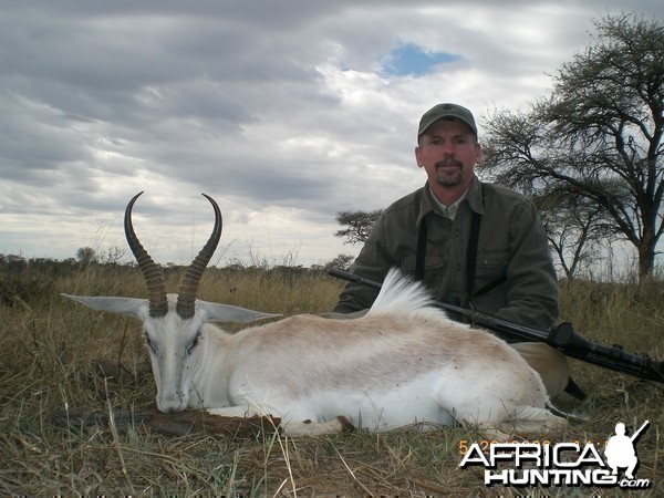 Springbok hunt in Northwest Province SA