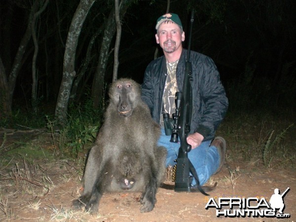 Babboon hunt in Northwest Province SA