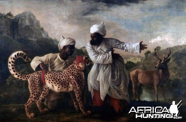 Indian Cheetah ready for the hunt, 1765