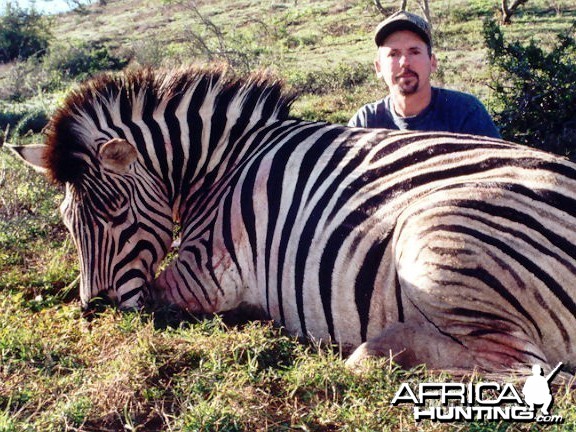 Zebra Hunt East Cape SA