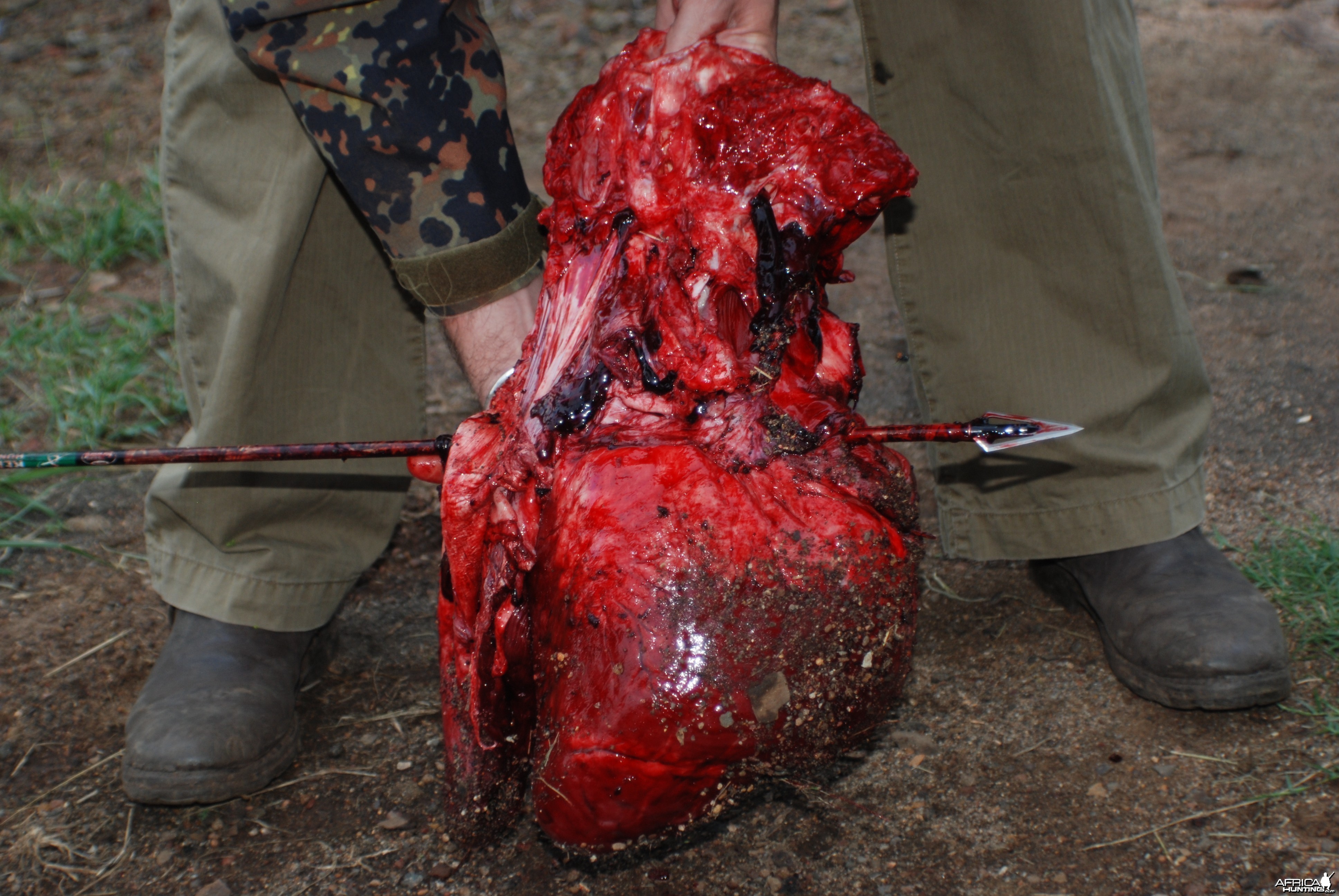 Buffalo Heart