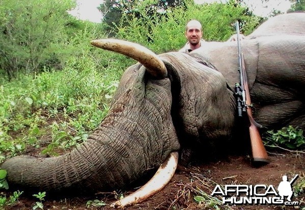 Elephant PAC Hunt in Mozambique
