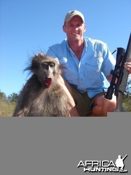 Hunting Baboon South Africa