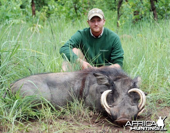 Warthog hunted in CAR with CAWA