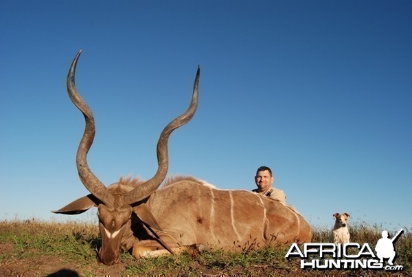 Kudu hunt in Limpopo RSA