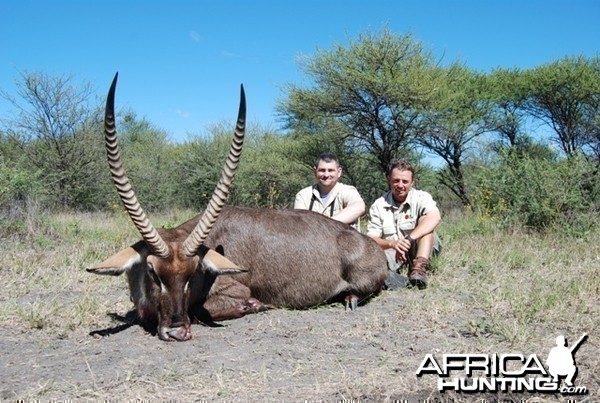 Waterbuck hunt in Limpopo RSA - 29 5/8 inches