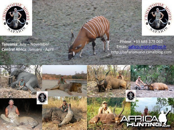 Safaris Morio - Hunting in CAR &amp; Tanzania