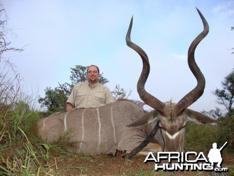 Southern Greater Kudu