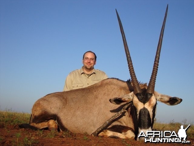 Gemsbuck