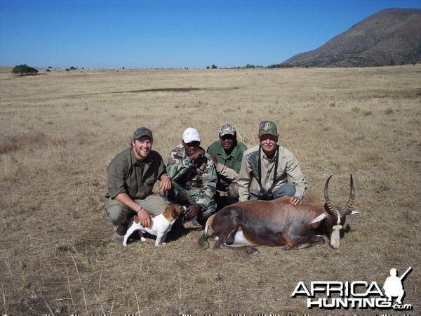 Blesbok Hunt East Cape South Africa