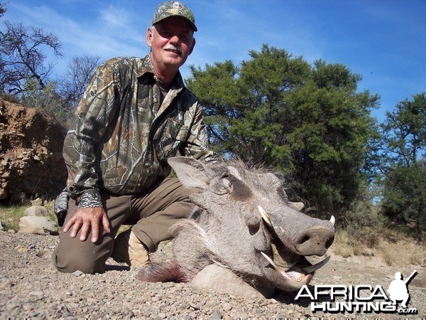 Warthog Hunt East Cape South Africa