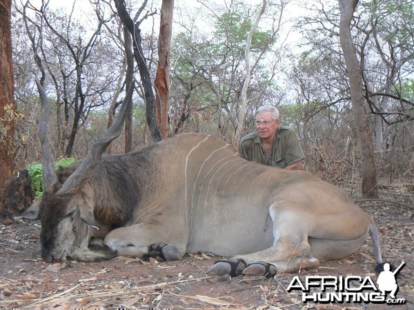 Very old, worn down Derby eland, hunted in CAR