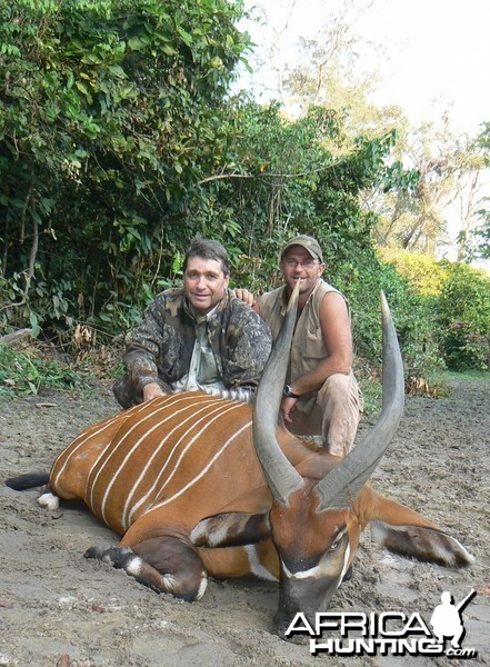 Bongo hunted in CAR