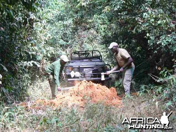 Road Block, Hunting Central African Republic