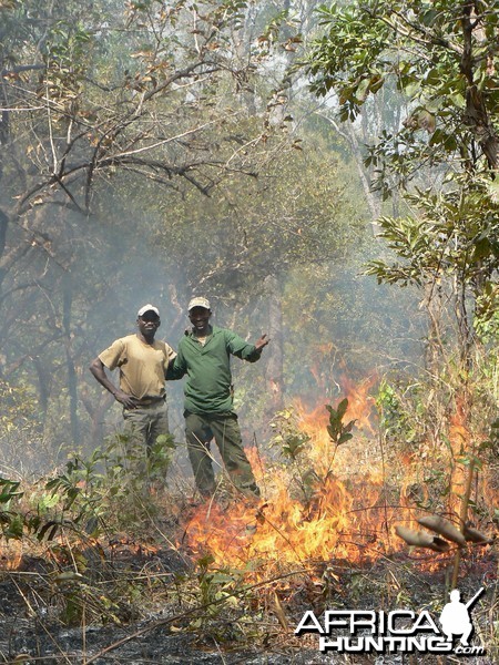 Bush fire Central African Republic
