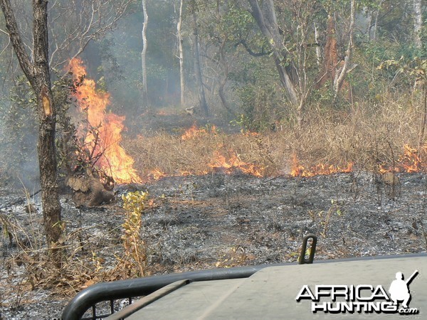 Bush fire Central African Republic