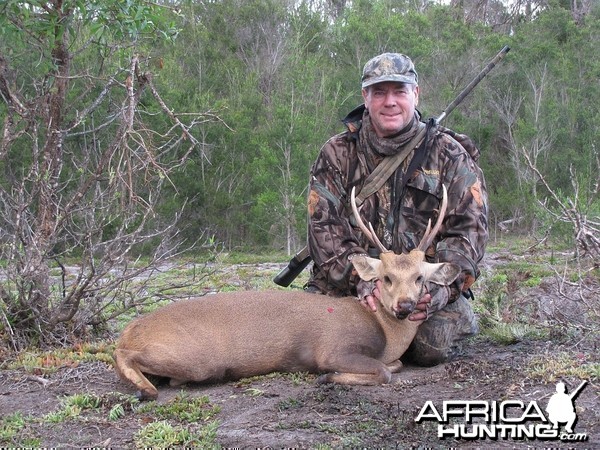 Neat Hog Deer Stag Hunt on Balpoole Peninsular,Victoria, Australia