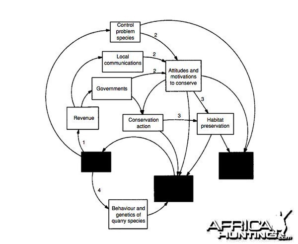 Sport Hunting, Does Sport Hunting Benefit Conservation?