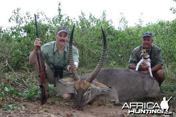 Waterbuck