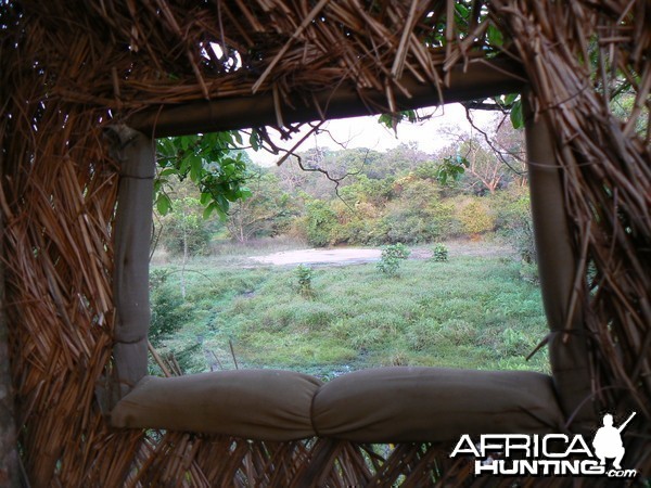 Blind in Central African Republic