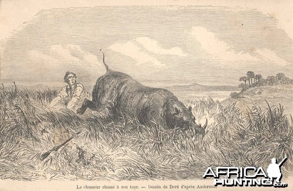 1860 Print - Hunting the Hunter Africa
