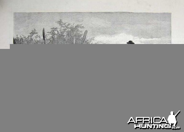 1880 - Hippopotamus Hunting in Angola, Africa