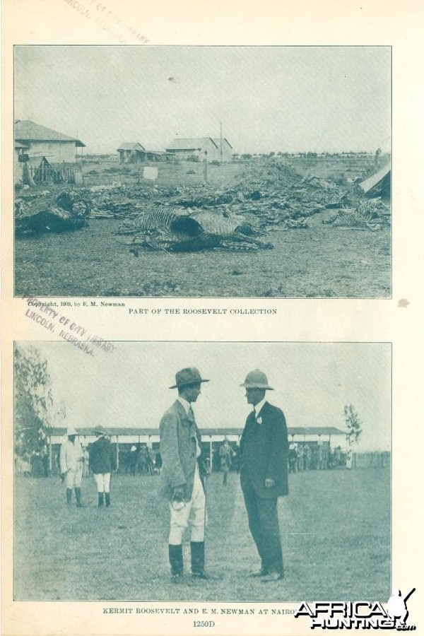 1909 - Theodore Roosevelt Hunting in Africa