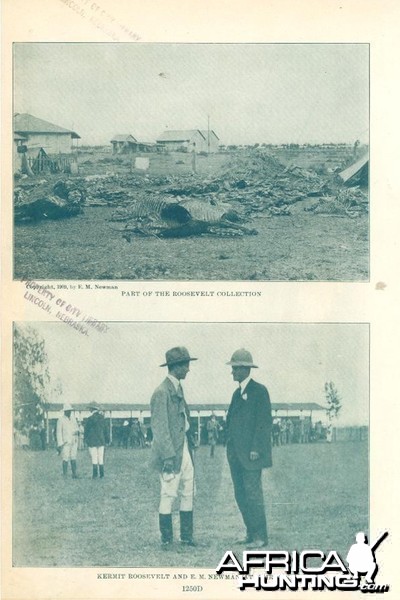 1909 - Theodore Roosevelt Hunting in Africa