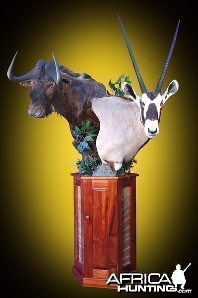 Gemsbuck and Black Wildebeest pedestal