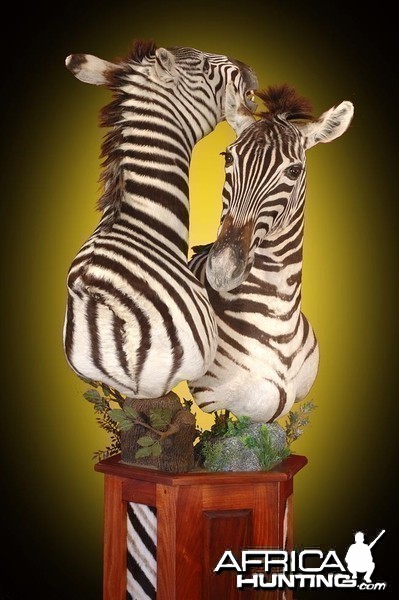 Zebra pedestal mount