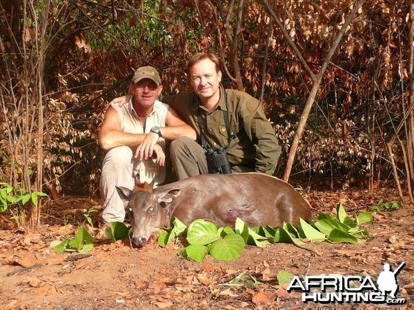 Hunting Yellow Back Duiker in CAR