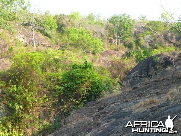 Hunting Central African Republic