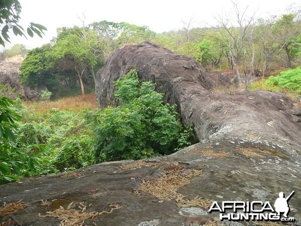 Hunting Central African Republic