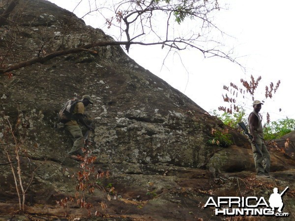 Hunting Central African Republic